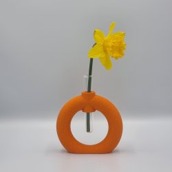 Fuzzy Toroid Vase