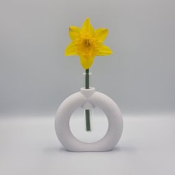 Fuzzy Toroid Vase