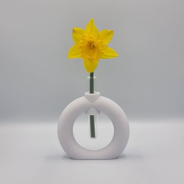Fuzzy Toroid Vase