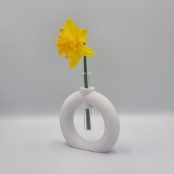 Fuzzy Toroid Vase