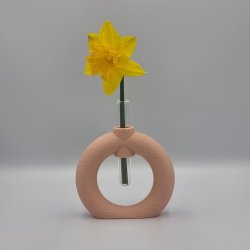 Fuzzy Toroid Vase