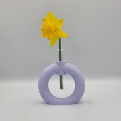 Fuzzy Toroid Vase