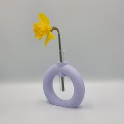 Fuzzy Toroid Vase