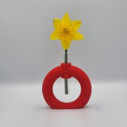 Fuzzy Toroid Vase