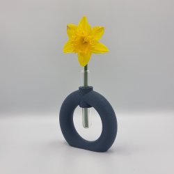 Fuzzy Toroid Vase
