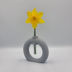 Fuzzy Toroid Vase