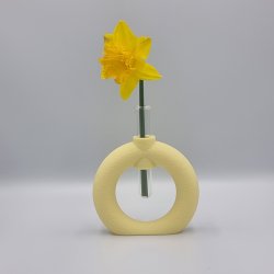Fuzzy Toroid Vase