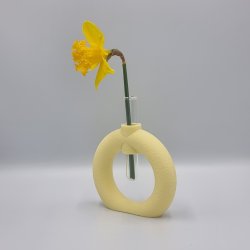 Fuzzy Toroid Vase
