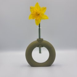 Fuzzy Toroid Vase