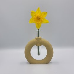 Fuzzy Toroid Vase