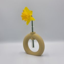 Fuzzy Toroid Vase
