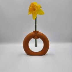 Fuzzy Toroid Vase
