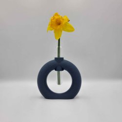 Fuzzy Toroid Vase